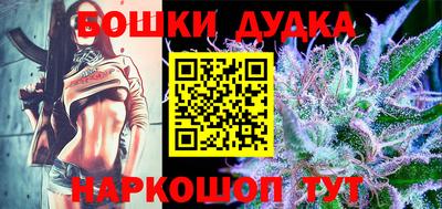 индика Можга