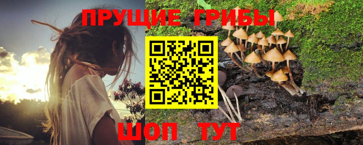 Галлюциногенные грибы мухоморы  Псилоцибиновые грибы мухоморы  купить наркотик  Вход с VPN  Сокол 